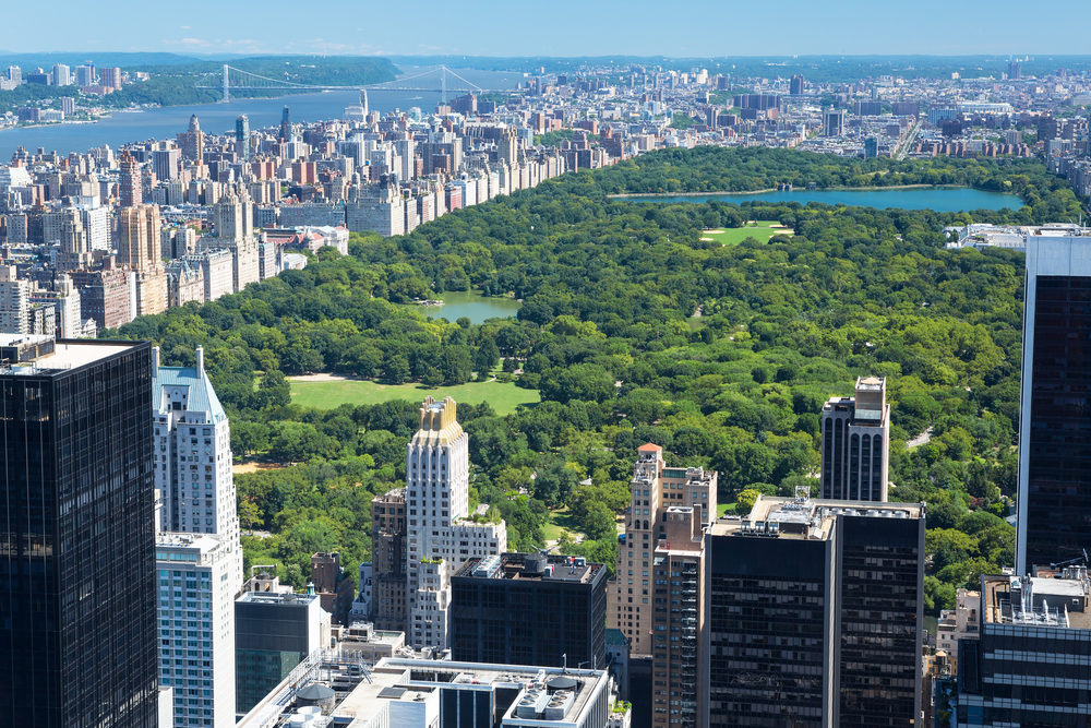 New York!