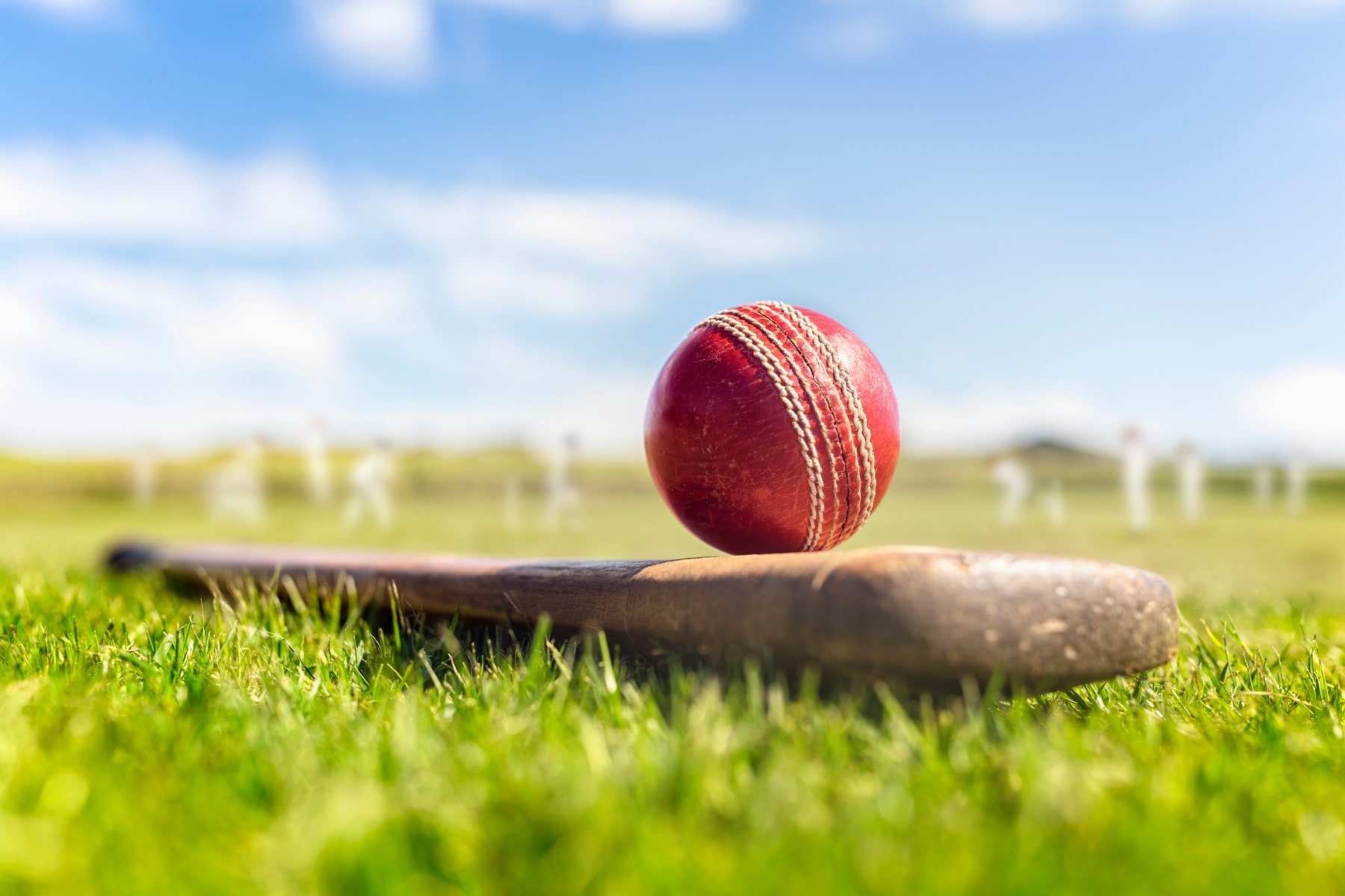 England v South Africa T20