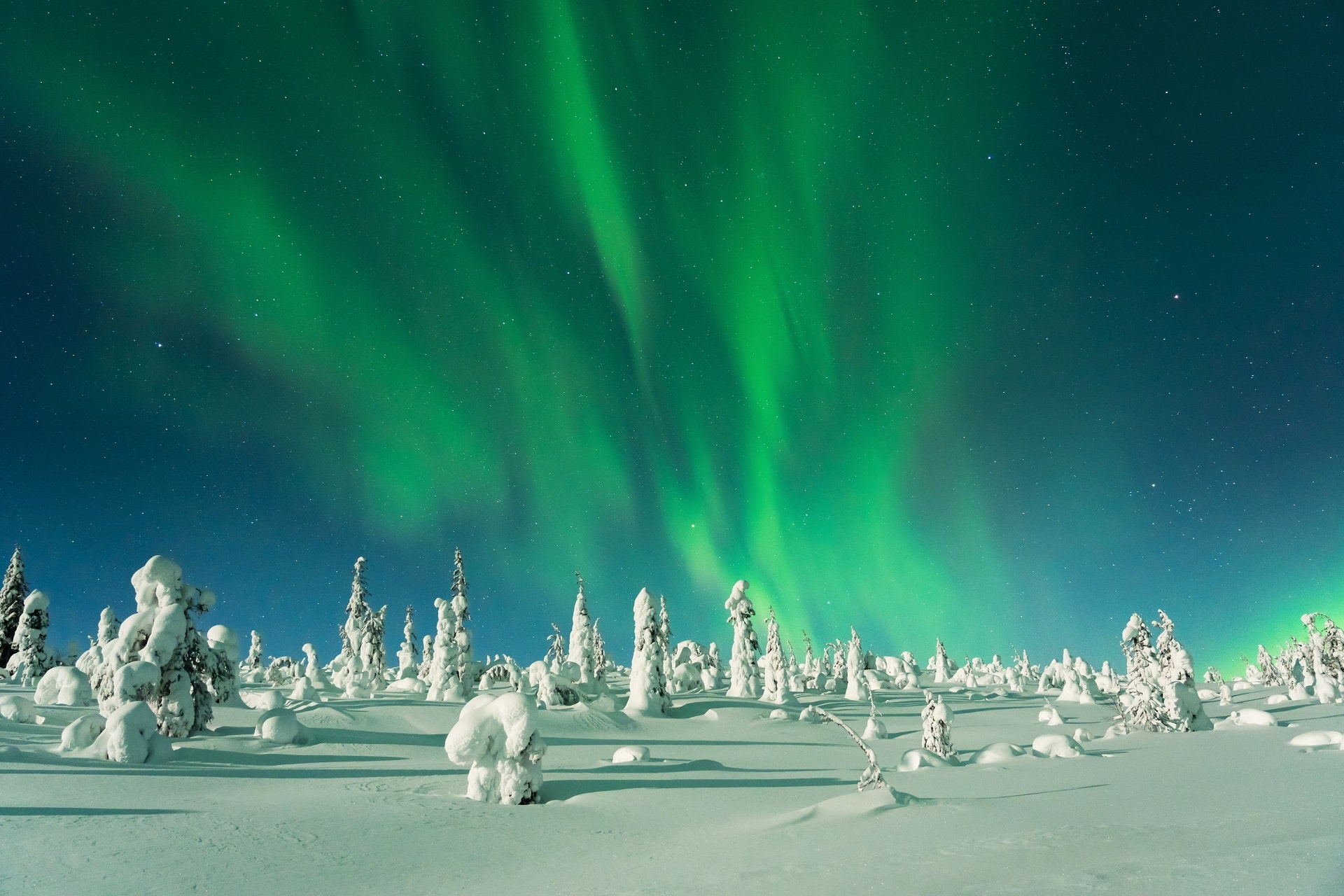 Lapland Santa Experience Day Trip
