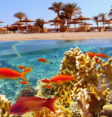 Marsa Alam