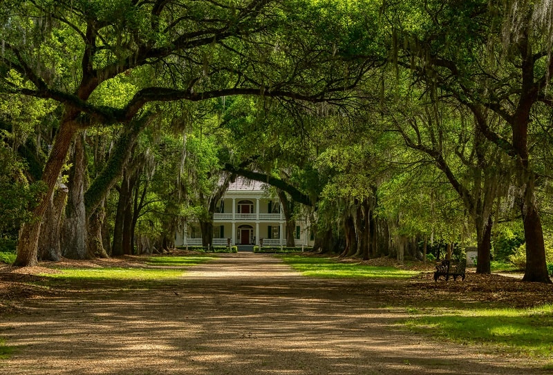 Louisiana Fly Drive