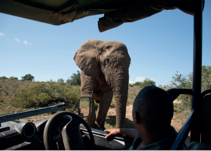 Africa
