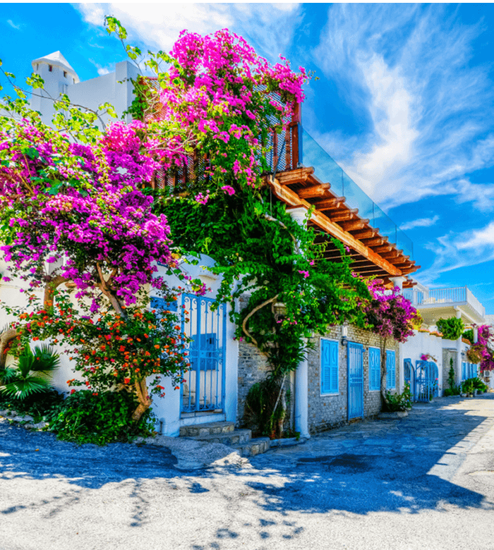 Half Board holidays to Bodrum
