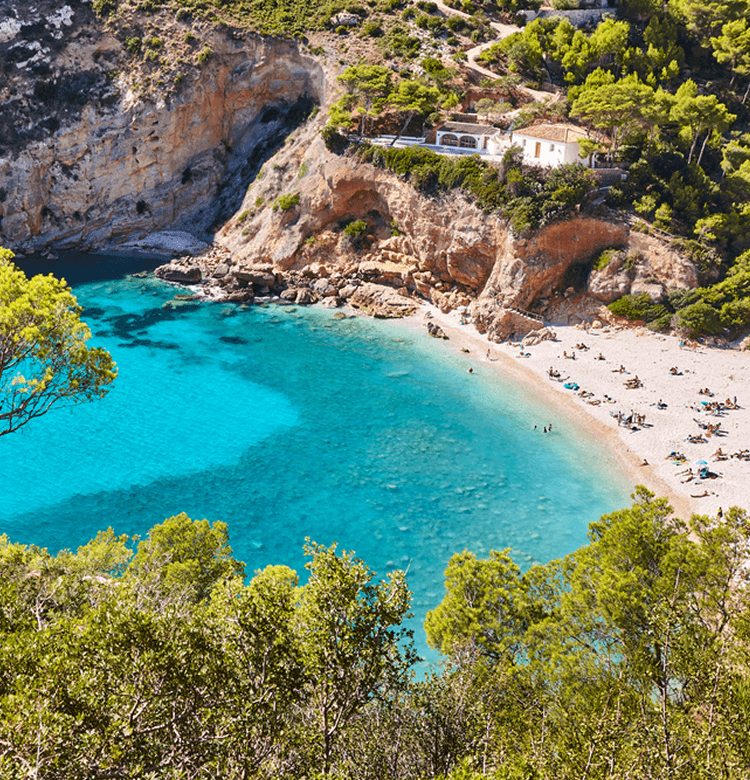 Fly from Newcastle to Alicante