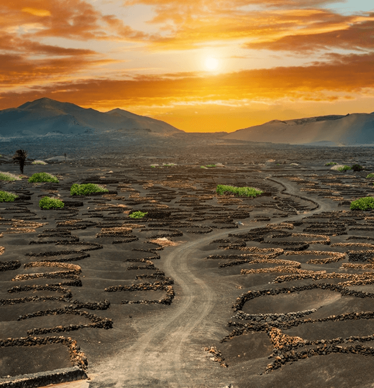 Bed & Breakfast Holidays to Lanzarote