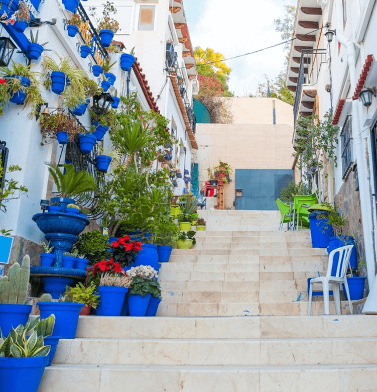 5* Alicante Deals