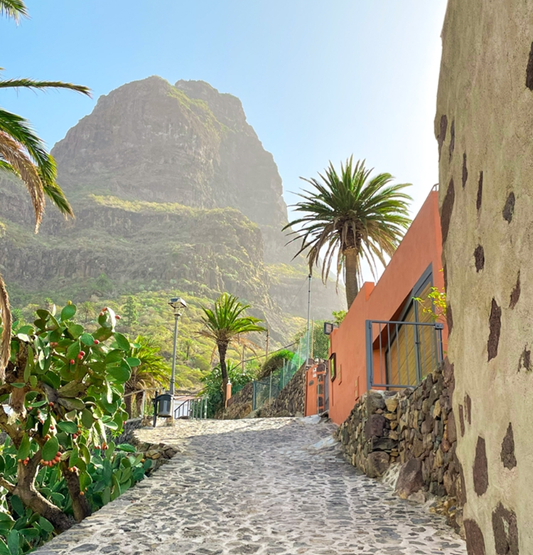 Half Board Holidays to Tenerife