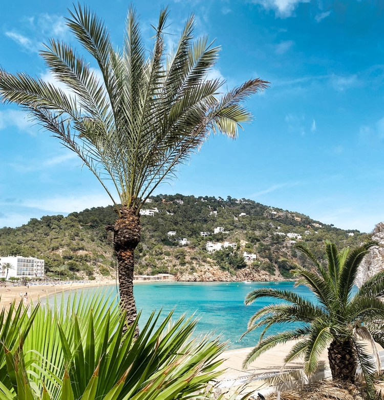 3* Ibiza Deals