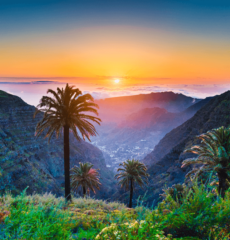 Fly from London to Fuerteventura