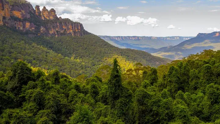 New South Wales Fly Drive