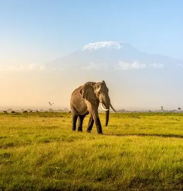 Kenya