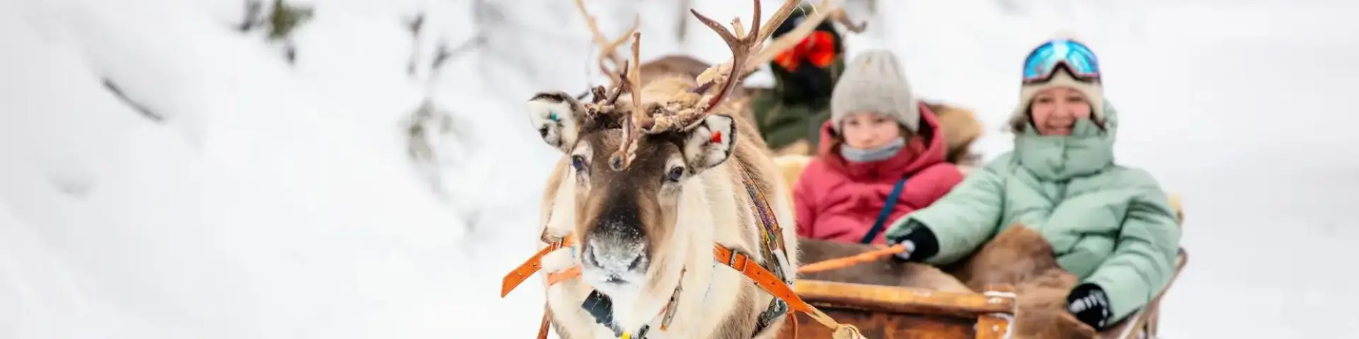 Lapland Holidays