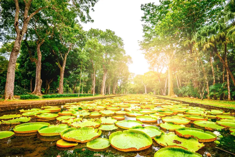 Embrace Nature