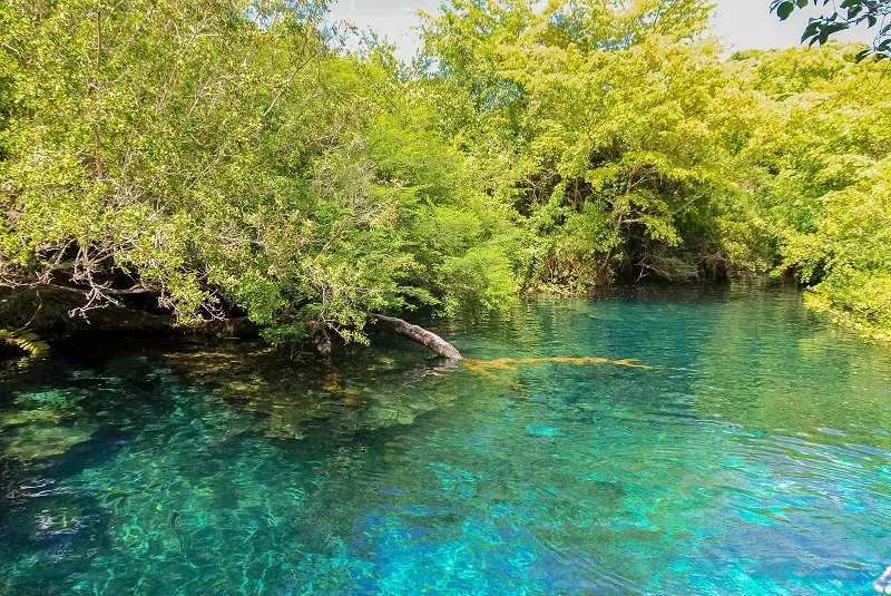 Visit Indigenous Eyes Ecological Park