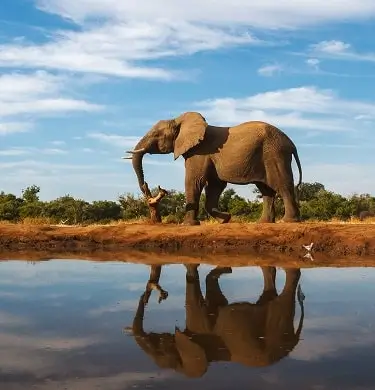 South Africa