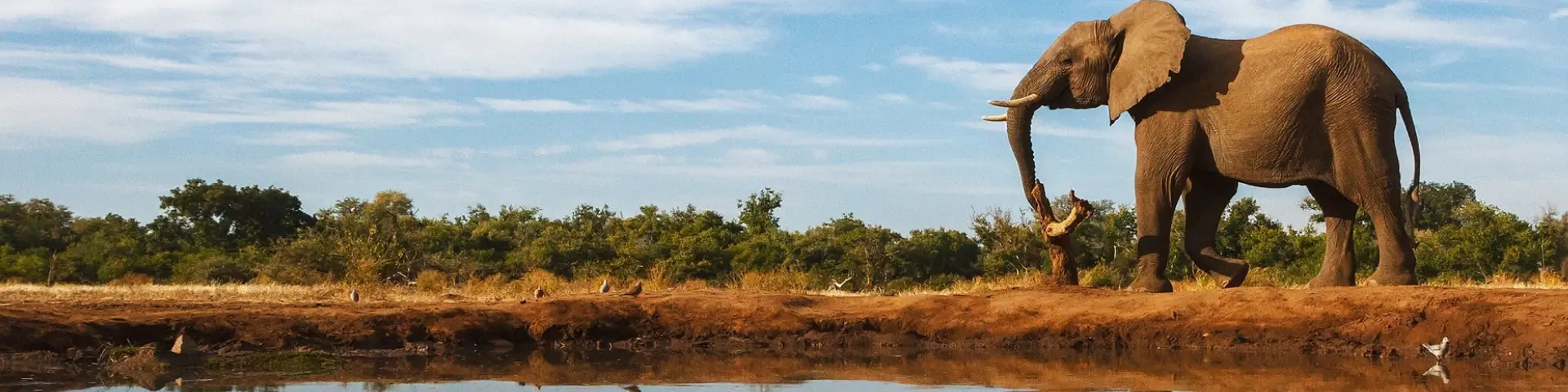Royal Morubisi Safari Adventure